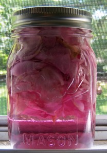rose petal elixir
