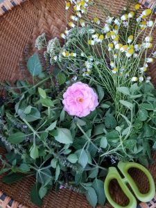 basket of herbs with rose at the center